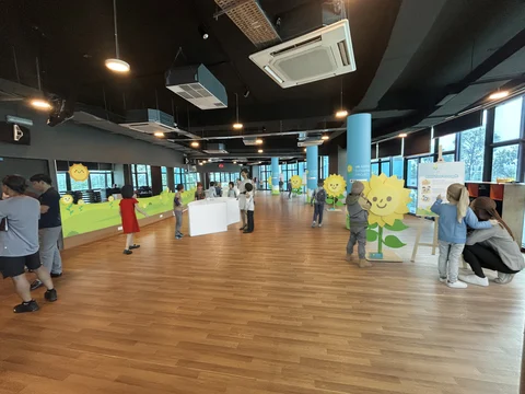 Sunflower Activity Space